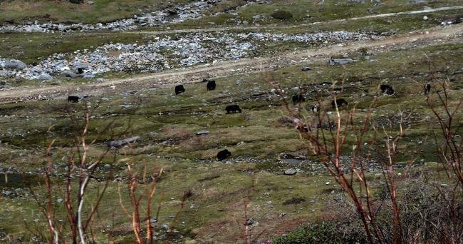 Sikkim & Darjeeling Tour Package - Silk Route Tourism